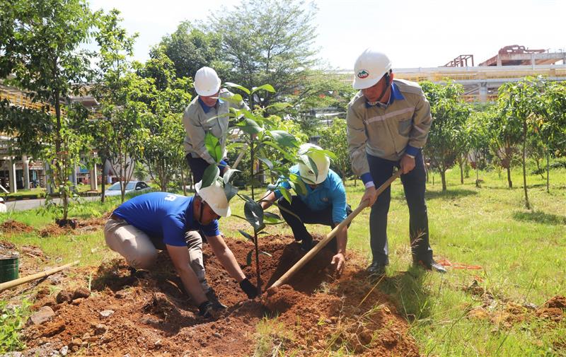 CBCNV công ty trồng cây xanh trong khuôn viên