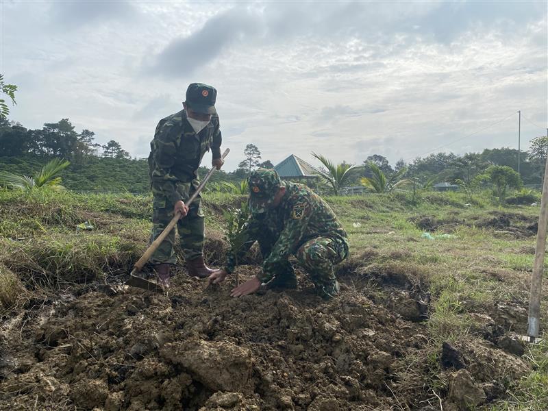  Lãnh đạo Huyện cùng cán bộ, chiến sỹ LLVT trồng cây xanh tại khu huấn luyện của đơn vị.