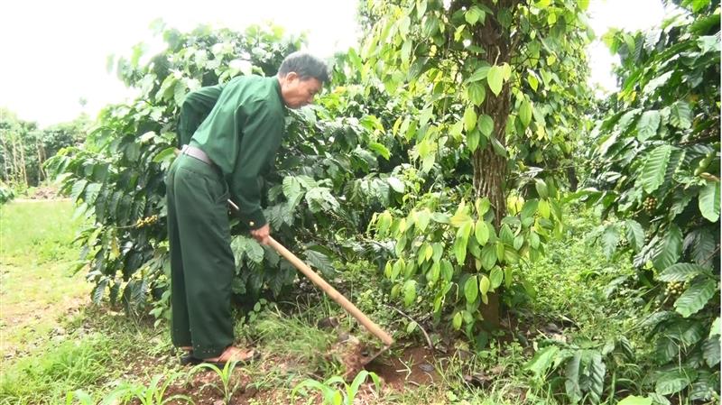 Hội viên lao động sản xuất phát triển kinh tế gia đình