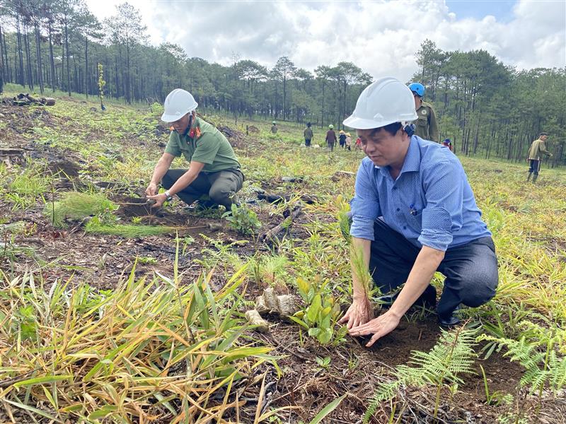 Lãnh đạo UBND huyện tham gia trồng cây