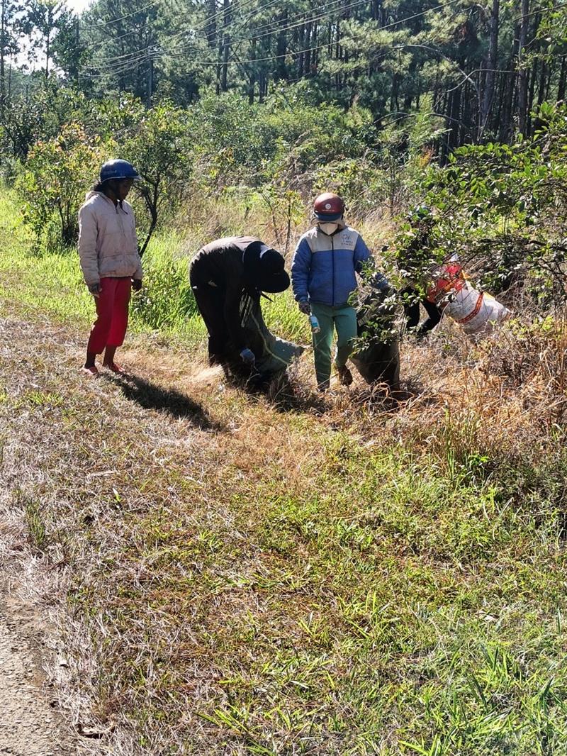 Các hộ giao khoán tham gia thu gom rác