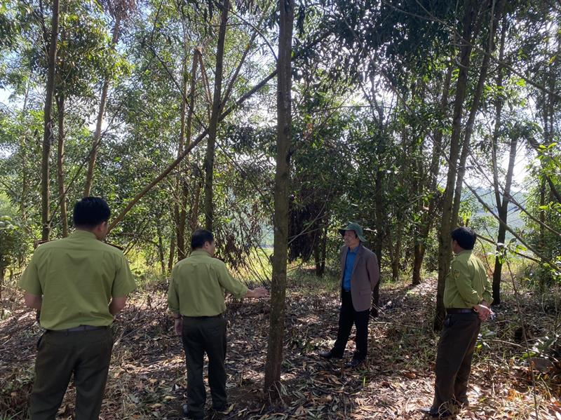 Đ/c Nguyễn Viết Vân, Bí thư Huyện ủy nắm bắt công tác quản lý bảo vệ rừng tại Lộc Ngãi