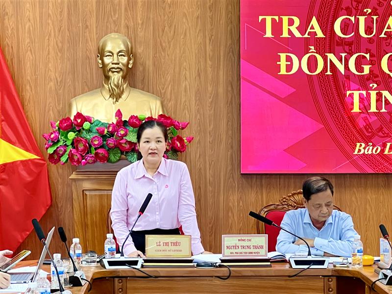 Bà Lê Thị Thêu – Giám đốc Sở Lao động Thương binh và Xã hội tỉnh phát biểu tại Hội nghị