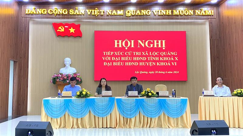 Các đại biểu HĐND tỉnh và huyện