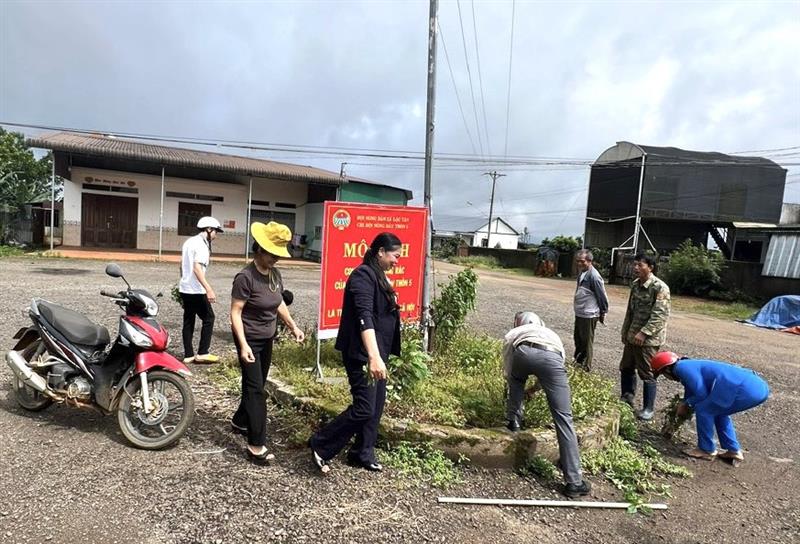 Các hội viên nông dân tổ chức thu gom rác