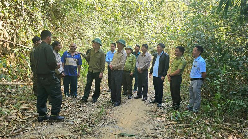 đồng chí Nguyễn Viết Vân- Bí thư Huyện ủy thăm hỏi, động viên các hộ nhận giao khoán bảo vệ rừng