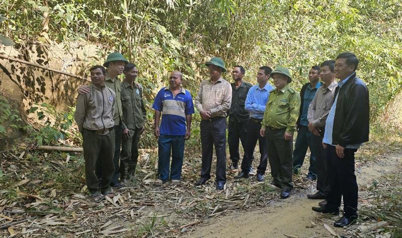 đoàn lãnh đạo huyện làm việc với đơn vị chủ rừng tại tiểu khu 293 thôn 3 xã Lộc Bảo