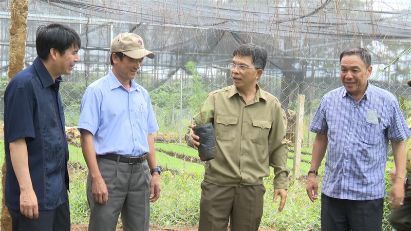 ông Đặng Trí Dũng – UVBTV TU – PCT UBND tỉnh đã đi kiểm tra tại Hợp tác xã nông nghiệp B’lá
